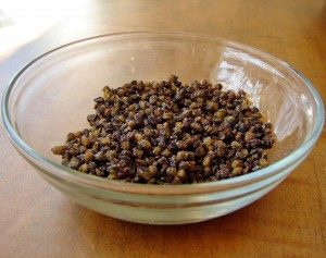 Roasted-lentils