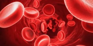 boost blood cells in your Body