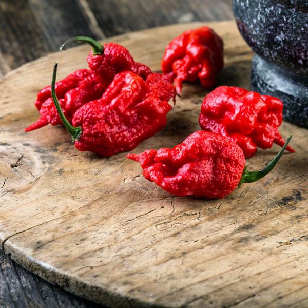 hottest peppers