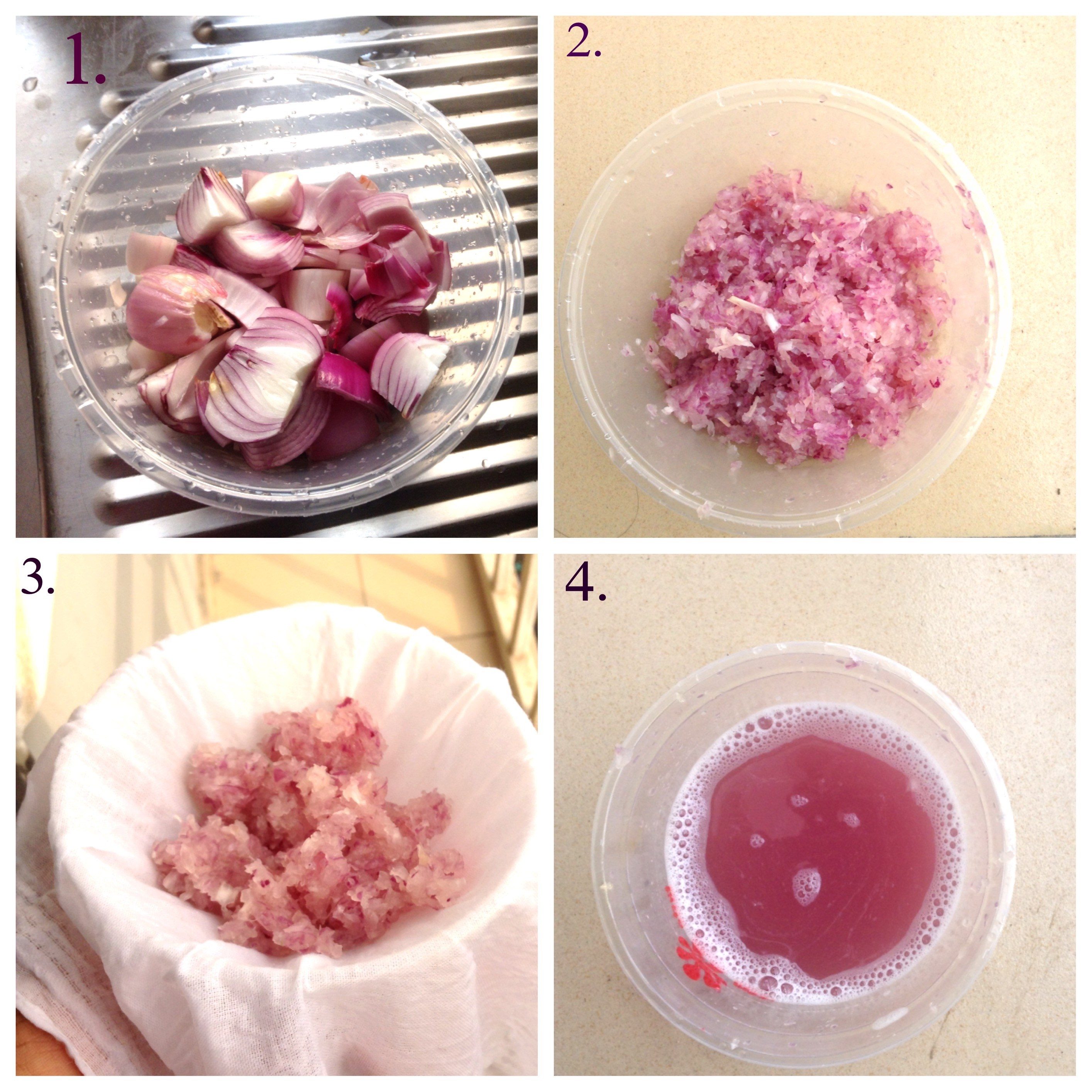 How to prepare Onion Extract