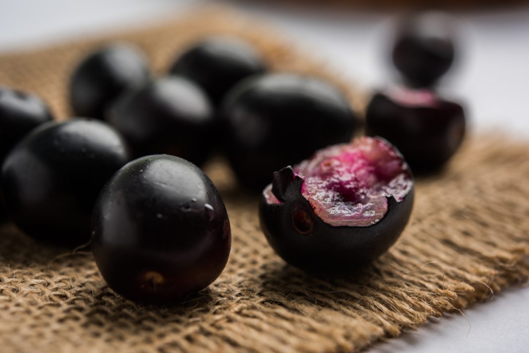 the black plum fruit known best for health!