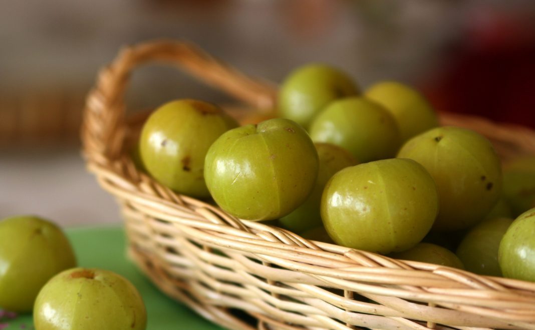 Do you know why Amla is beneficial for health?