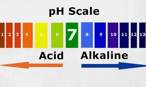 Balances pH Levels