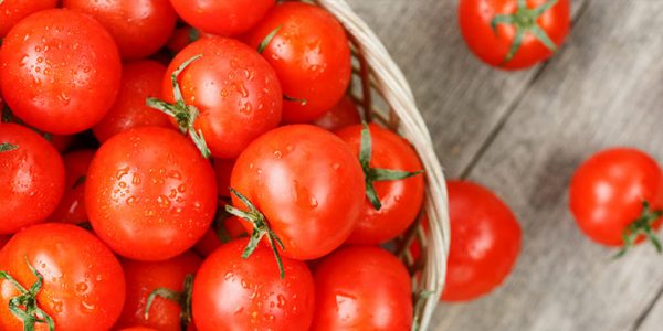 Are You Wondering Why Tomatoes for Weightloss