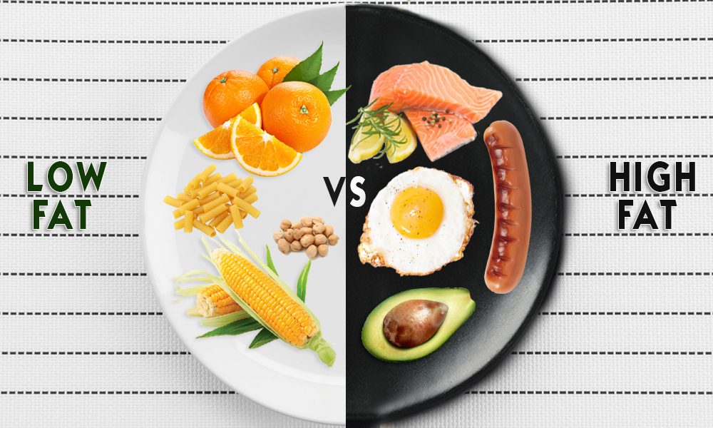 Low Fat vs Full Fat Diet - Which One Is Better
