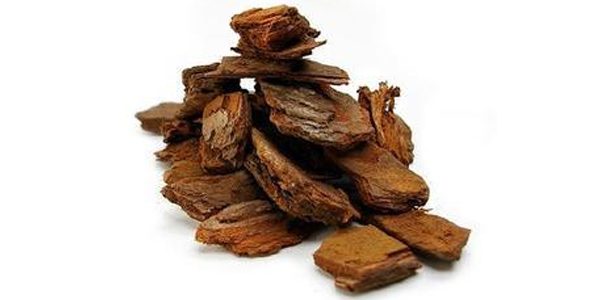 Pine Bark Extract That Controls Blood Glucose