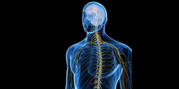 Vagus nerve for weight loss