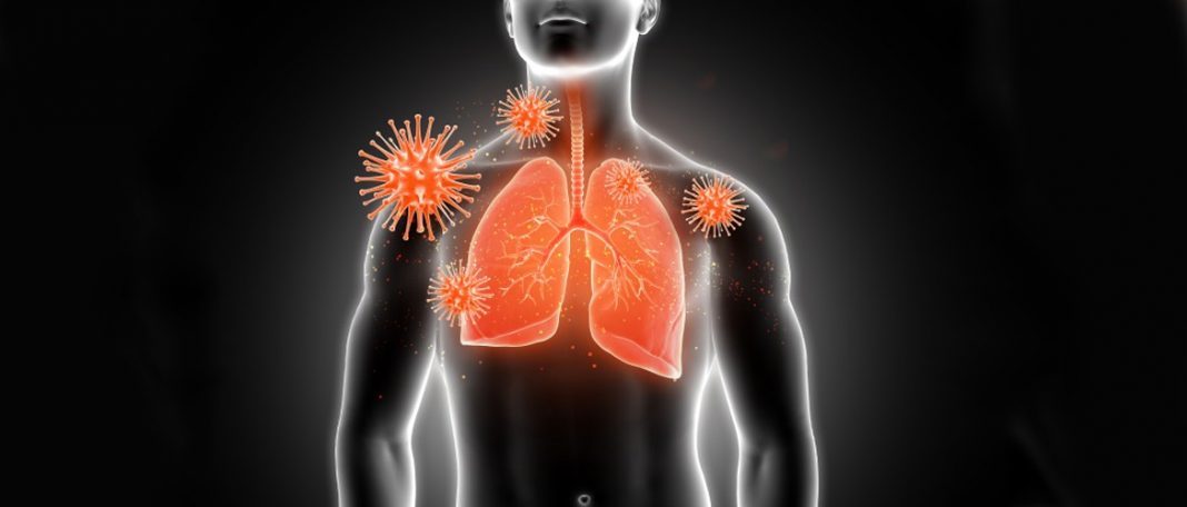 Coronavirus Damages Many Other Organs Apart from Lungs
