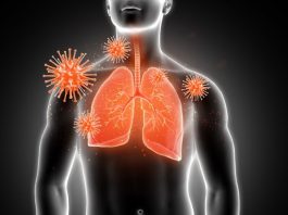 Coronavirus Damages Many Other Organs Apart from Lungs