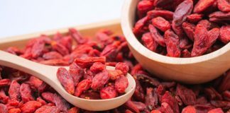 What Are Goji Berries Health Benefits