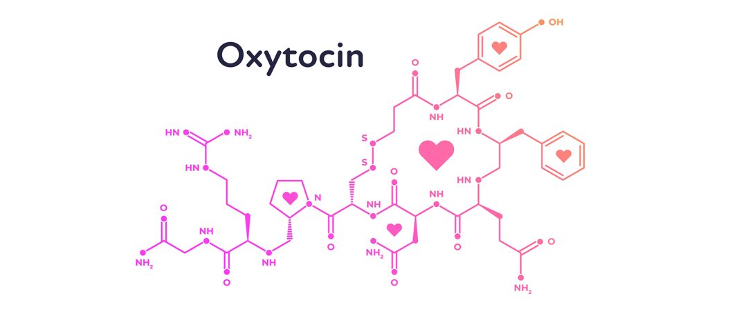 Oxytocin Called the Love Hormone