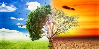 Climate Change Increases The Risk of Cancers