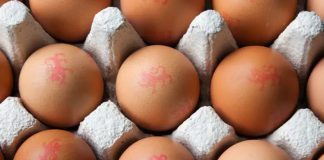 Salmonella Food Poisoning Alert Issued over British Lion Eggs!