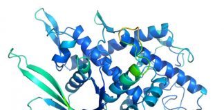 AI Helps Treating Protein Folding Problems in Patients