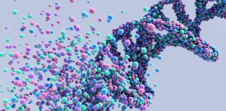New Gene Therapy to Reverse Aging Is Tested Successful