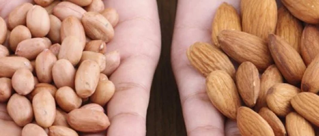 Botanists Say That Almonds and Peanuts Are Not Nuts