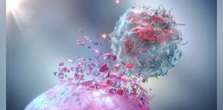 Engineered Immune Cells