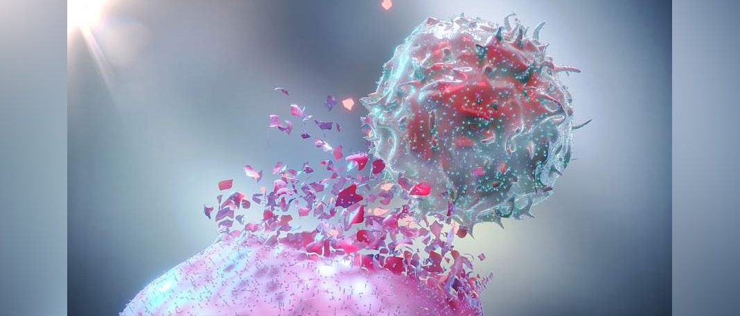 Engineered Immune Cells