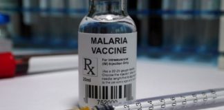 Vaccine for Malaria