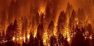 West Coast Wildfires Increases The Risk Of Covid 19