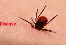 Lyme Disease Heightens The Risk Of Suicidal Thoughts And Mental Illness