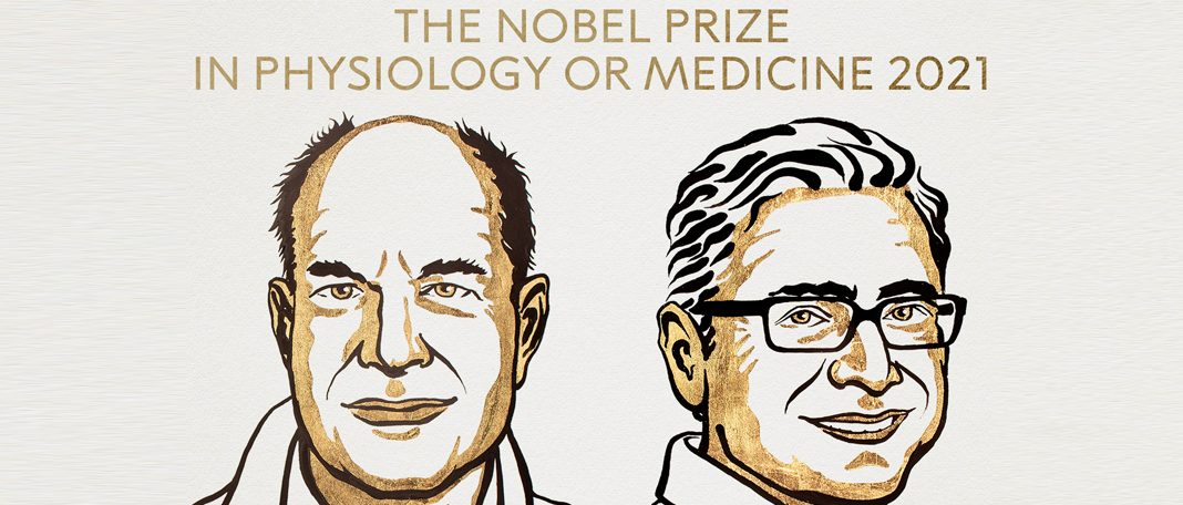 Noble Prize Winners Unlock A Century Old Mystery!