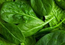 Spinach And Cancer: The Anticancer Effects You Never Heard Before