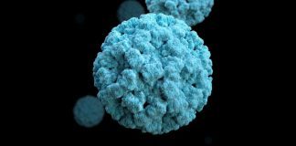 What Is Norovirus & What Are The First Symptoms Of Norovirus?