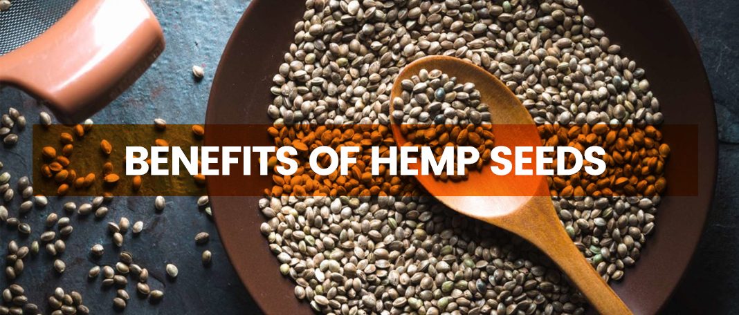 Health Benefits Of Hemp Seeds You Must Know