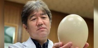 Japanese Researchers Invented An Ostrich Mask To Detect Covid 19