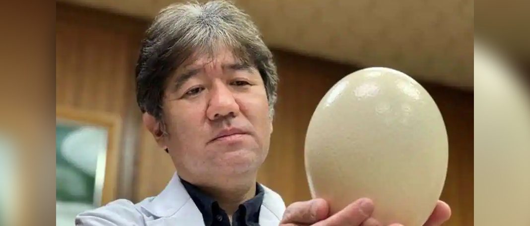 Japanese Researchers Invented An Ostrich Mask To Detect Covid 19