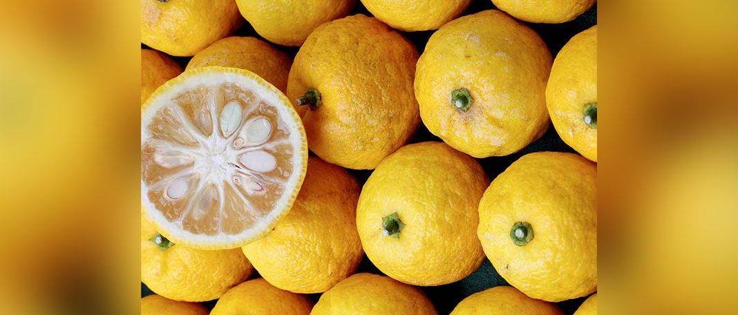 Must Know Surprising Benefits Of Yuzu Fruit