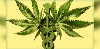 Myths And Facts About Medical Marijuana