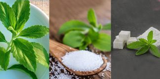 Stevia Health Benefits And Risks
