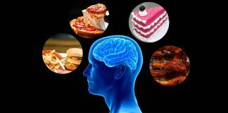 Gut Brain Connection For Fatty Foods