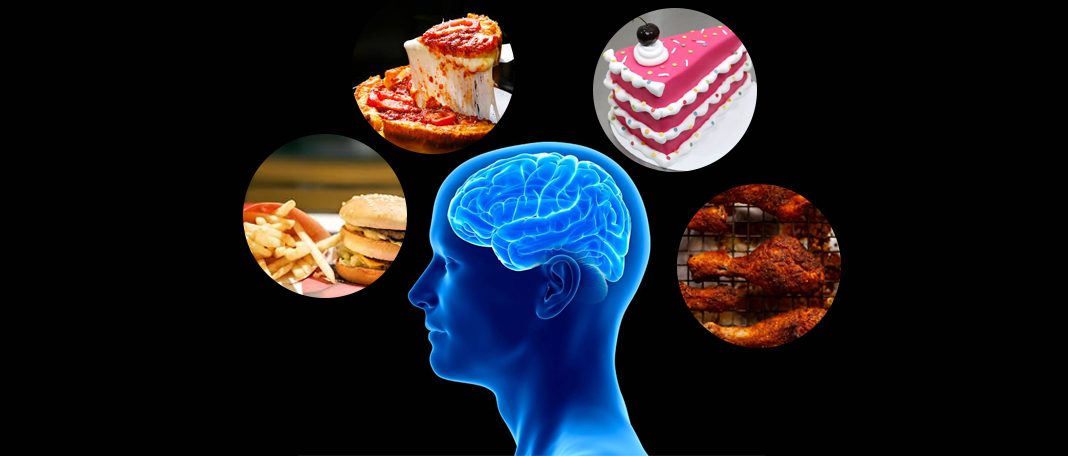 Gut Brain Connection For Fatty Foods