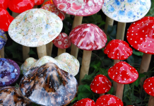 Magic Mushroom Compound Can Help Treat Depression