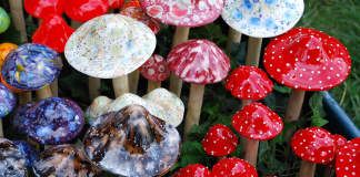 Magic Mushroom Compound Can Help Treat Depression