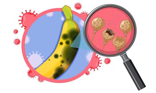 Food Poisoning From Bacteria