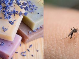 Flowery soaps might make humans attractive to mosquitoes.