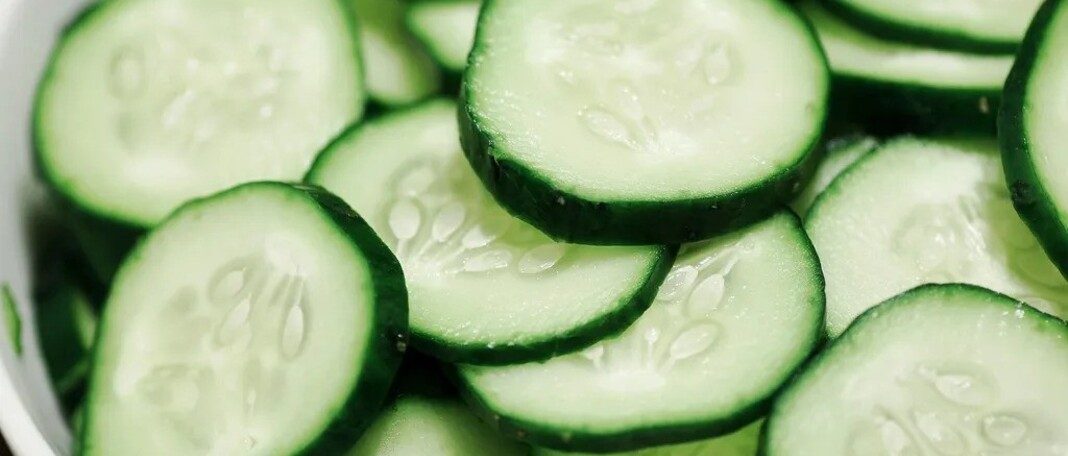Why You Should Eat Cucumber Everyday