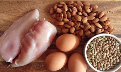Good Sources of Protein