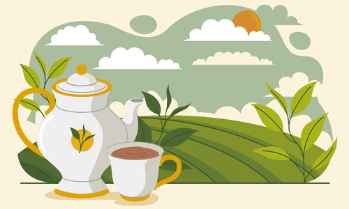 Use Herbal Teas