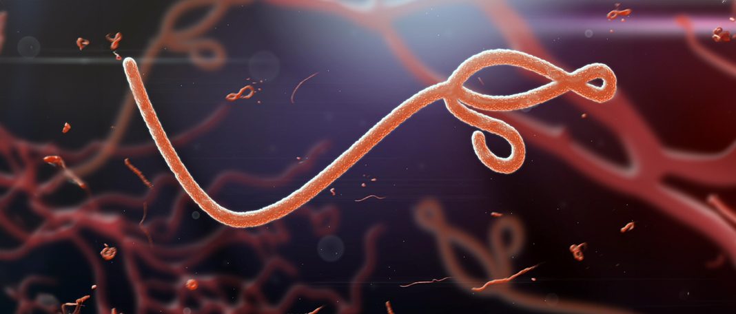 Ebola Virus Disease: Types, Symptoms, Treatments, Prevention